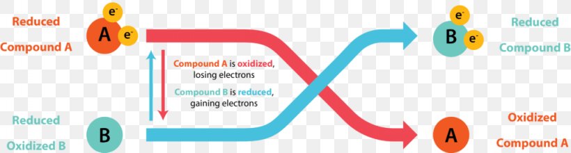 Redox Chemical Reaction Reduction Potential Electron, PNG, 1024x275px, Watercolor, Cartoon, Flower, Frame, Heart Download Free