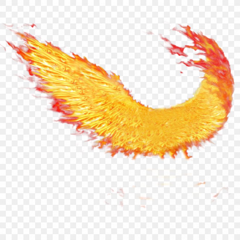 Wings Of Fire Desktop Wallpaper Clip Art, PNG, 894x894px, Wings Of Fire, Close Up, Color, Deviantart, Display Resolution Download Free