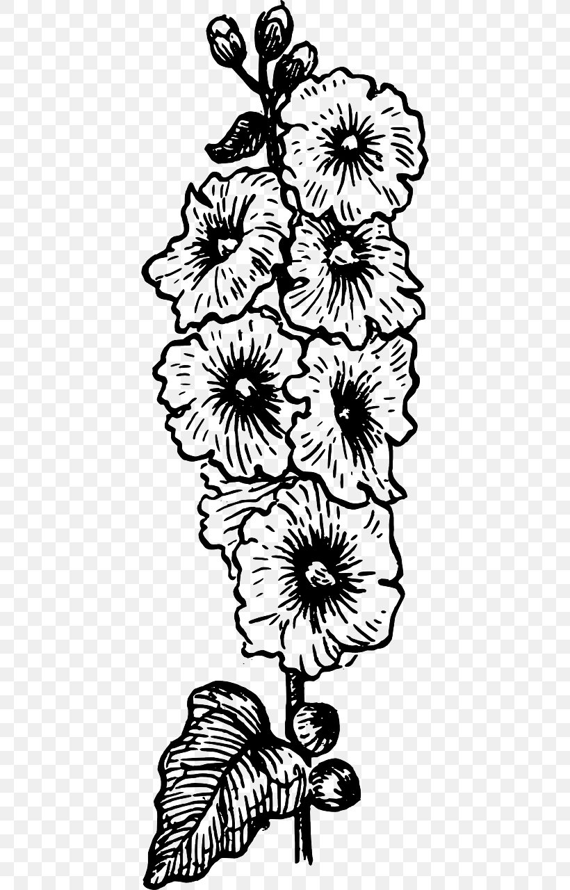 Floral Design Hollyhocks Clip Art Drawing Line Art, PNG, 640x1280px, Floral Design, Art, Artwork, Black And White, Branch Download Free