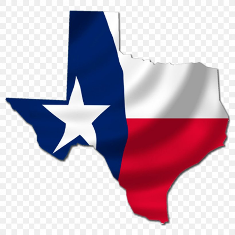 Lone Star College–North Harris Friendship Sugar Land Hico Steak Cookoff Lone Star Brewing Company, PNG, 1024x1024px, Friendship, Business, Electric Blue, Flag, Flag Of Texas Download Free