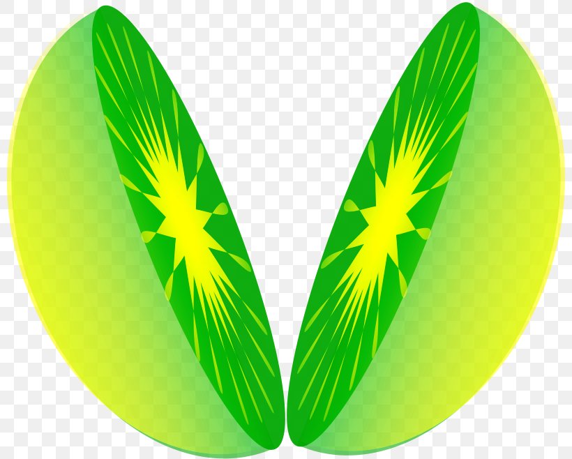 One Half Fraction Clip Art, PNG, 800x658px, One Half, Butterfly, Fraction, Grass, Green Download Free