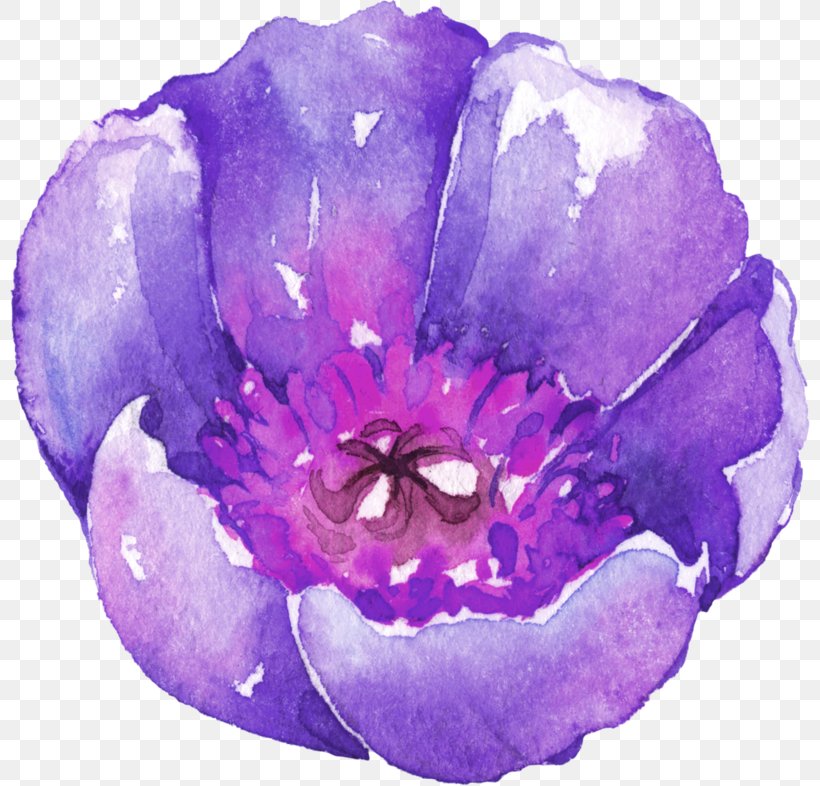 Watercolor Painting Download, PNG, 800x786px, Watercolor Painting, Amethyst, Coreldraw, Creative Work, Editing Download Free