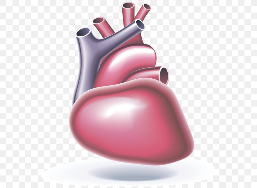 Cardiac Arrest Automated External Defibrillators Heart Cardiopulmonary Resuscitation Cardiology, PNG, 565x600px, Watercolor, Cartoon, Flower, Frame, Heart Download Free