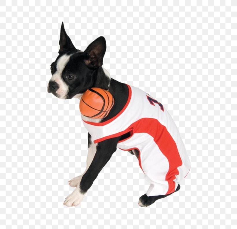 Dog Breed Pet Basketball Companion Dog, PNG, 500x793px, Dog Breed, Basketball, Basketball Player, Boston Terrier, Carnivoran Download Free