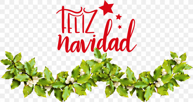 Feliz Navidad Merry Christmas, PNG, 3000x1597px, Feliz Navidad, Branch, Christmas Day, Common Holly, Garland Download Free