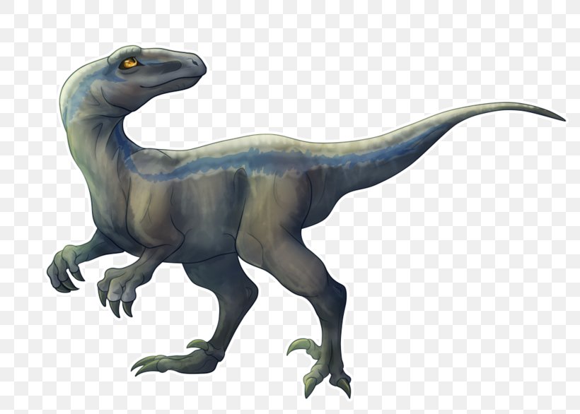 Velociraptor Jurassic Park Drawing Deviantart Png 800x586px Velociraptor Animal Figure Animation Art Child Download Free