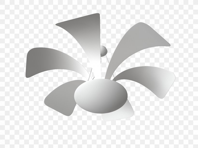 Angle, PNG, 1200x900px, Black And White, Petal Download Free