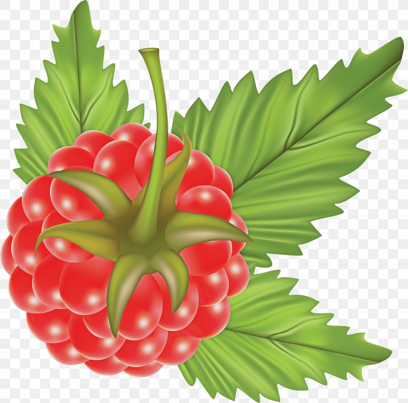 Artificial Flower, PNG, 3000x2961px, Leaf, Alpine Strawberry, Artificial Flower, Berry, Flower Download Free