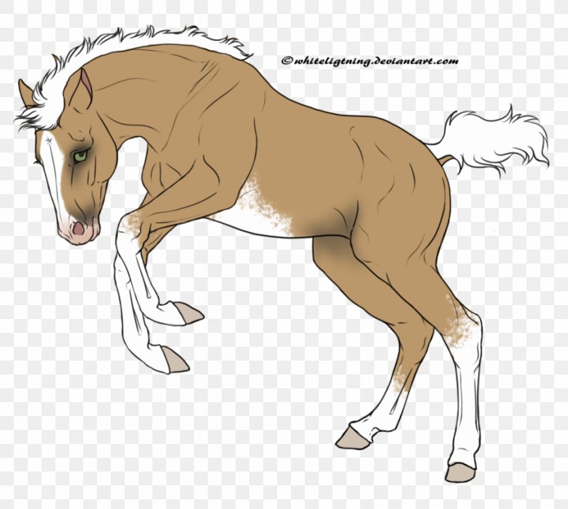 Foal Mane Stallion Mare Colt, PNG, 945x846px, Foal, Bridle, Colt, Donkey, Fauna Download Free