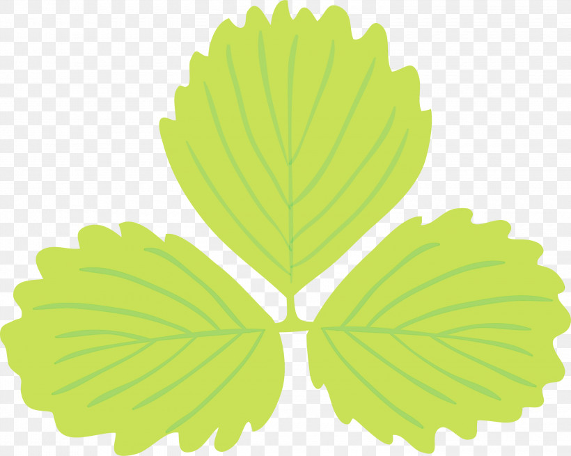Leaf Green M-tree Tree Biology, PNG, 3000x2398px, Watercolor, Biology, Green, Leaf, Mtree Download Free