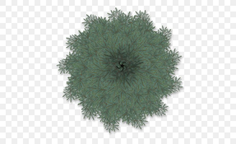 Tree Blue Spruce Cupressus Plant Baobab, PNG, 500x500px, Tree, Baobab, Blue Spruce, Computer Software, Cupressus Download Free