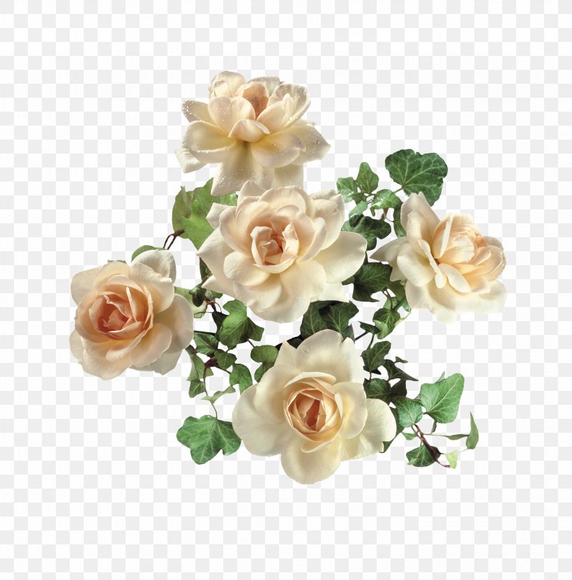 Garden Roses Digital Image Clip Art, PNG, 2466x2500px, Garden Roses, Artificial Flower, Cut Flowers, Digital Image, Floral Design Download Free