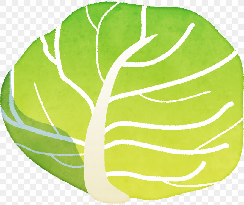 Leaf Vegetable Green Fruit Science, PNG, 1600x1346px, Leaf, Biology, Fruit, Green, Plant Structure Download Free