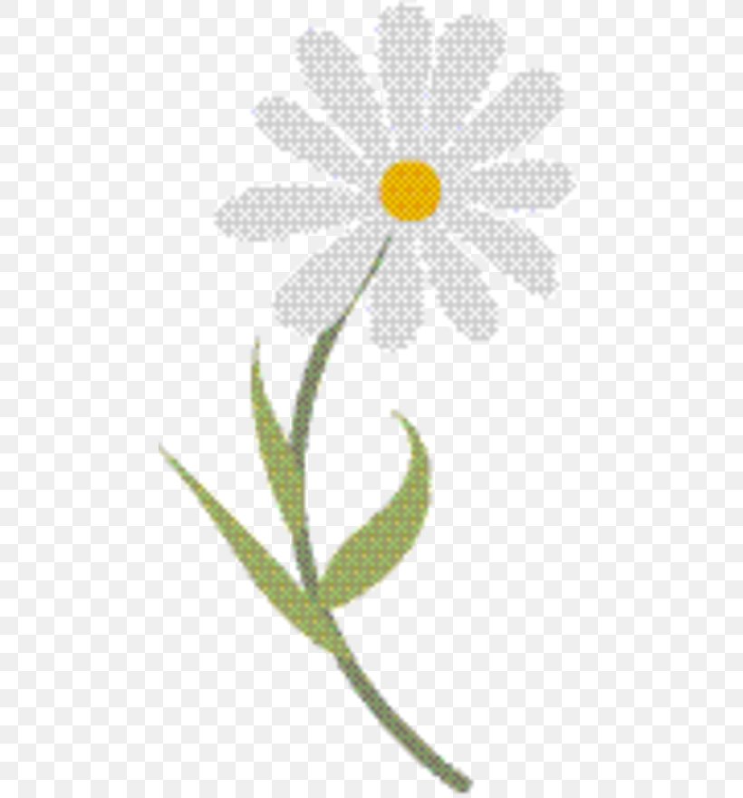 Plants Background, PNG, 469x880px, Oxeye Daisy, Camomile, Chamomile, Daisy, Daisy Family Download Free