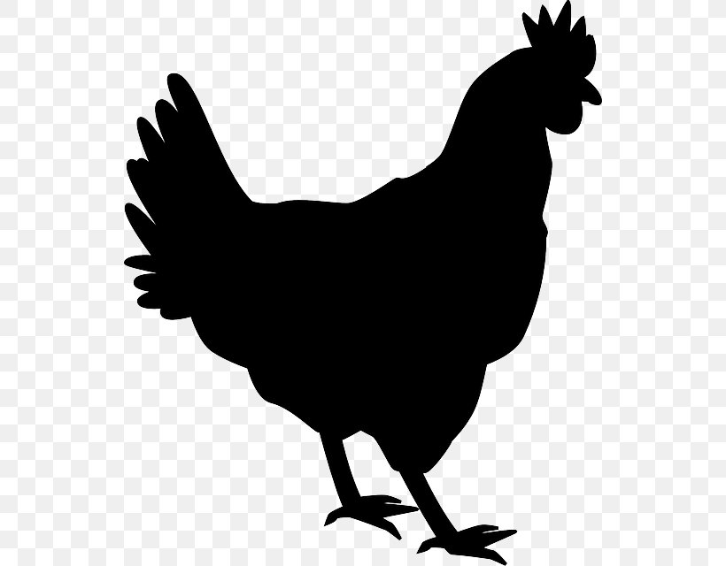 Silkie Shamo Chickens Silhouette Rooster Clip Art, PNG, 540x640px, Silkie, Beak, Bird, Black And White, Chicken Download Free
