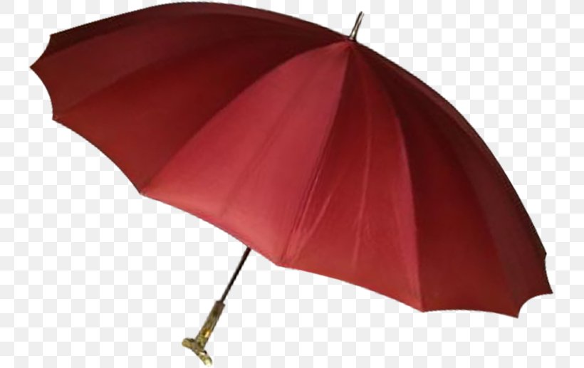 The Umbrellas Rain Wet Season, PNG, 739x517px, Umbrella, Designer, Fashion Accessory, Graphic Designer, Rain Download Free