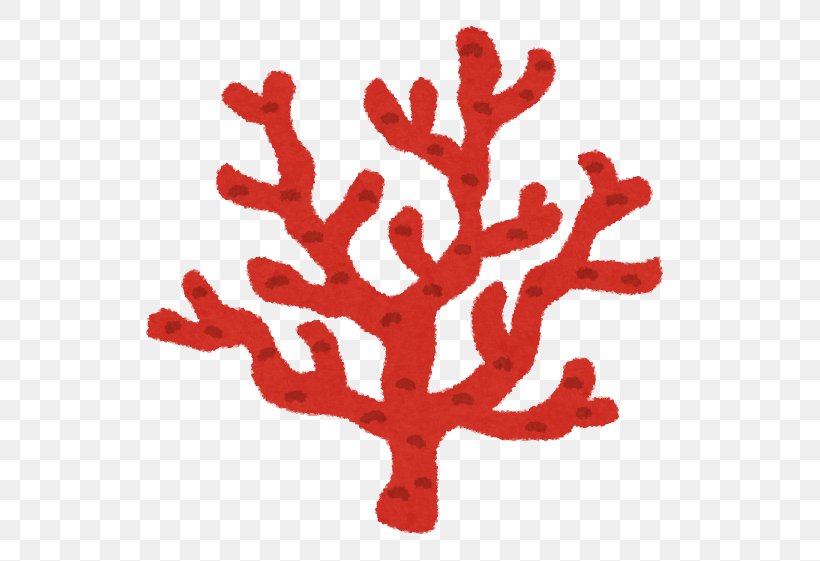 Coral Reef いらすとや Red Coral, PNG, 561x561px, Coral, Animal, Branch, Color, Coral Reef Download Free