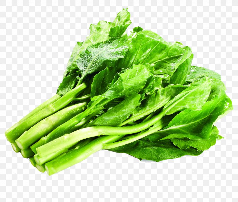 Romaine Lettuce Vegetarian Cuisine Kale Chinese Broccoli Collard Greens, PNG, 1024x869px, Romaine Lettuce, Cabbage Family, Chard, Chinese Broccoli, Choy Sum Download Free