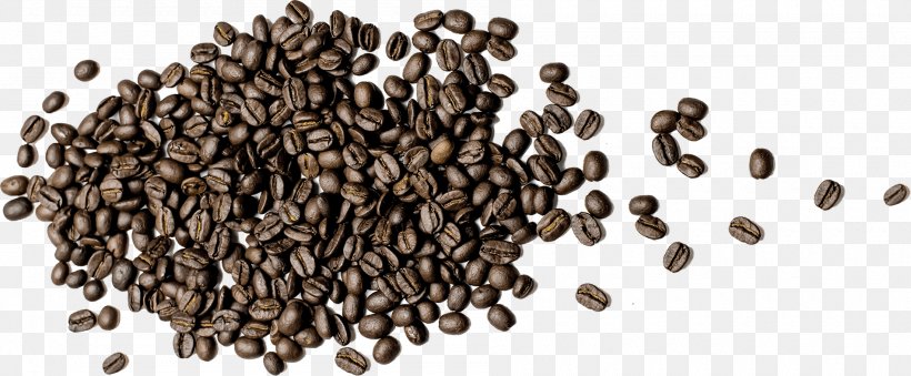 Coffee Bean Dry Roasting 土居珈琲 Commodity, PNG, 1900x786px, Coffee, Coffee Bean, Commodity, Dry Roasting, Food Download Free