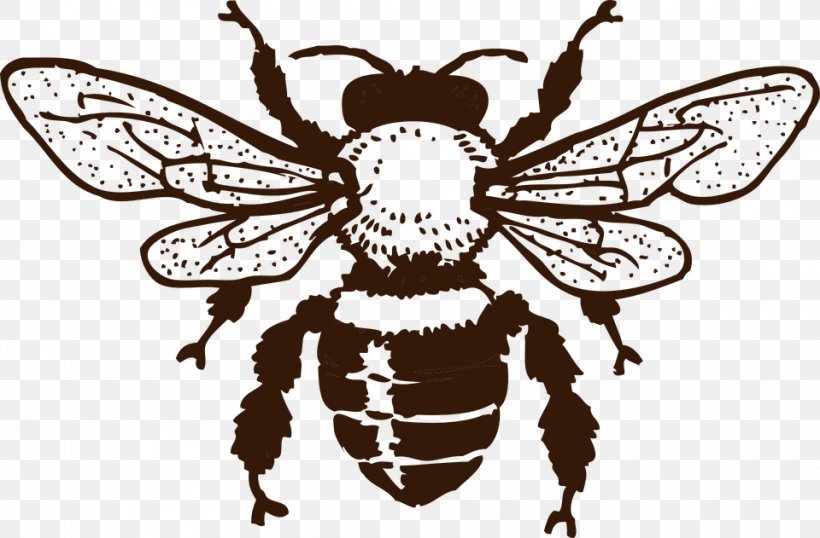 European Dark Bee Insect Queen Bee Honey Bee, PNG, 960x631px, Bee, Art, Arthropod, Beehive, Beeswax Download Free