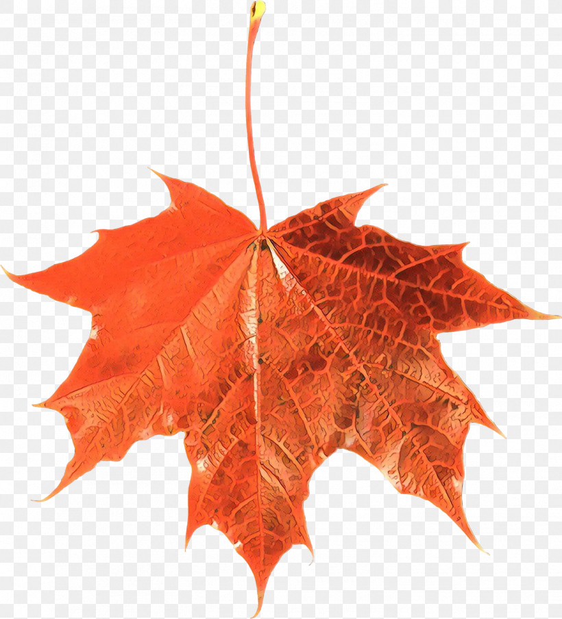 Maple Leaf, PNG, 1453x1600px, Leaf, Black Maple, Maple Leaf, Orange, Plane Download Free