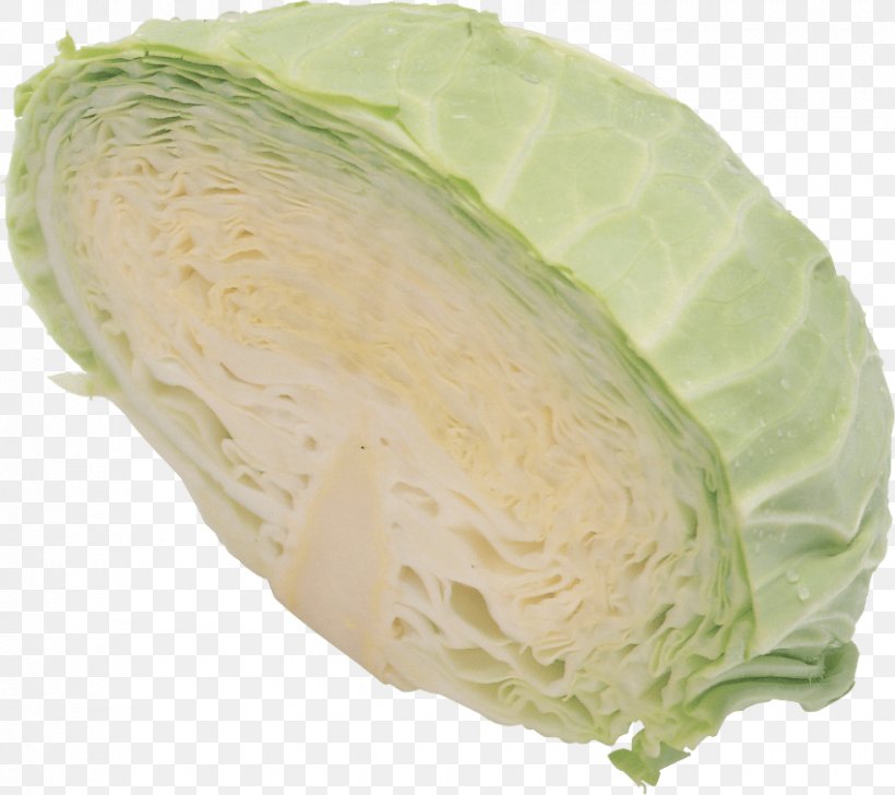 Savoy Cabbage Vegetable Cauliflower Red Cabbage, PNG, 850x755px, Savoy Cabbage, Broccoli, Brussels Sprout, Cabbage, Cauliflower Download Free