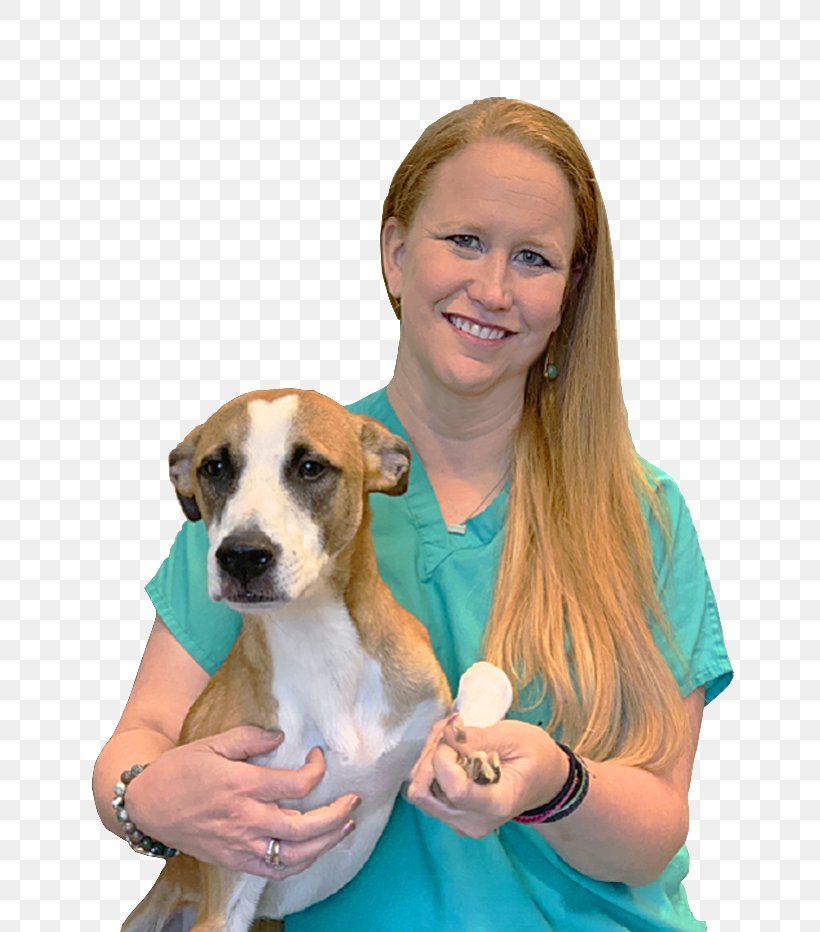 Dog Dog Breed Companion Dog Veterinarian Puppy, PNG, 736x932px, Dog, Companion Dog, Dog Breed, Puppy, Puppy Love Download Free