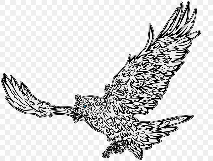 Eagle Owl Line Art Hawk Beak, PNG, 860x652px, Eagle, Art, Beak, Bird, Bird Of Prey Download Free