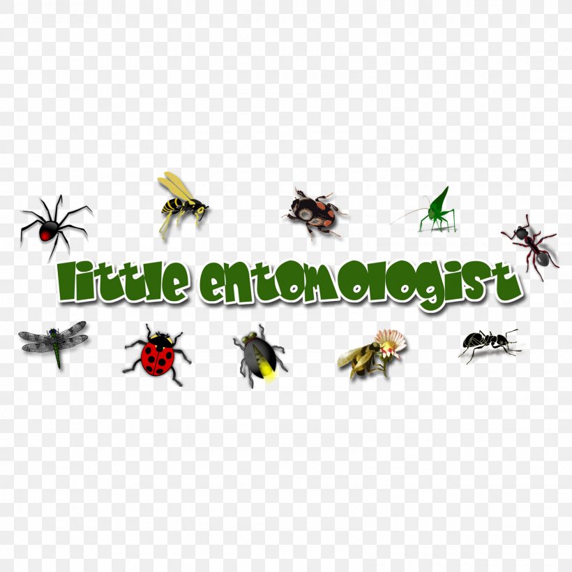 Insect Logo Pollinator Pest Font, PNG, 1600x1600px, Insect, Animal, Animal Figure, Arthropod, Biscuits Download Free