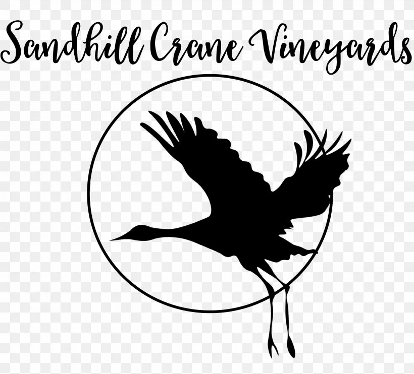 Sandhill Crane Vineyards Wine Common Grape Vine Logo, PNG, 3018x2733px, Crane, Beak, Bird, Black And White, Branch Download Free