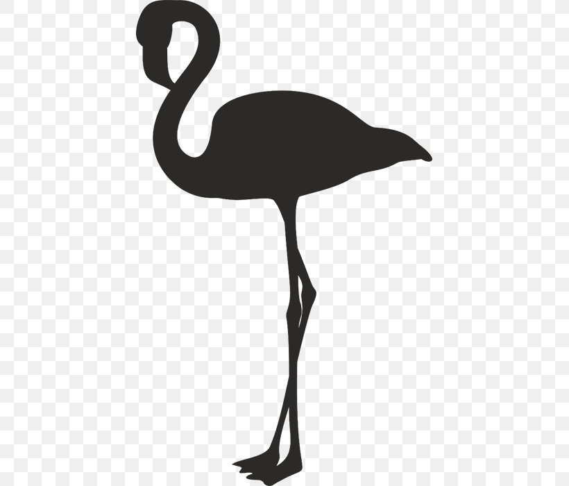 Bird Sticker Phoenicopteridae Clip Art, PNG, 700x700px, Bird, Beak, Black And White, Crane Like Bird, Flamenco Download Free