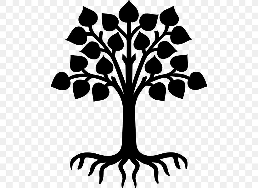 Tree Root Drawing Clip Art, PNG, 498x598px, Tree, Artwork, Black And White, Branch, Coloring Book Download Free