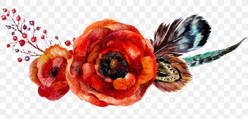 Poppy Flowers Flower Bouquet, PNG, 4549x2191px, Flower, Boho Chic, Color, Drawing, Feather Download Free