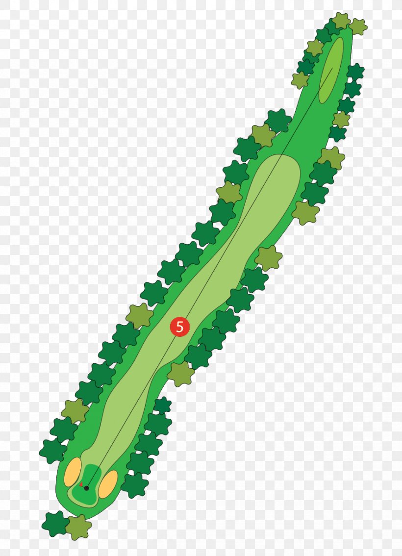 Golf Course Par Wood Golf Tees, PNG, 884x1223px, Golf Course, Average, Bank, Com, Freeway Golf Course Download Free