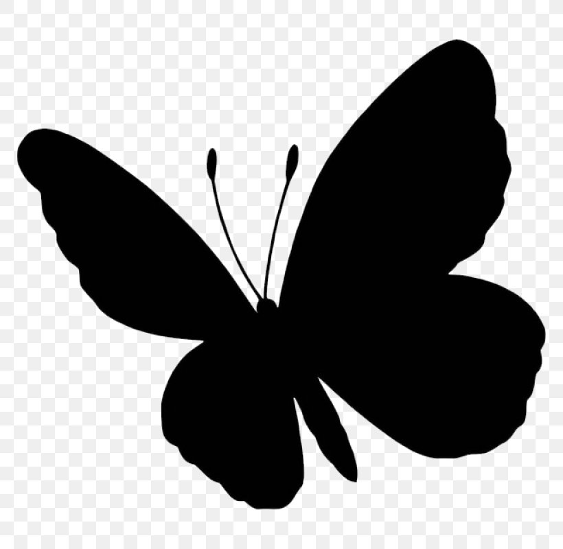 Leaf Silhouette, PNG, 800x800px, Butterfly, Blackandwhite, Blue Morpho, Caterpillar, Drawing Download Free
