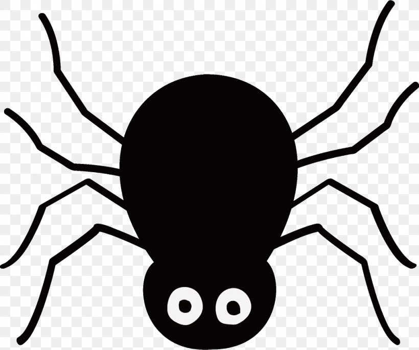 Spider Halloween, PNG, 1024x856px, Spider, Arachnid, Halloween, Head, Insect Download Free