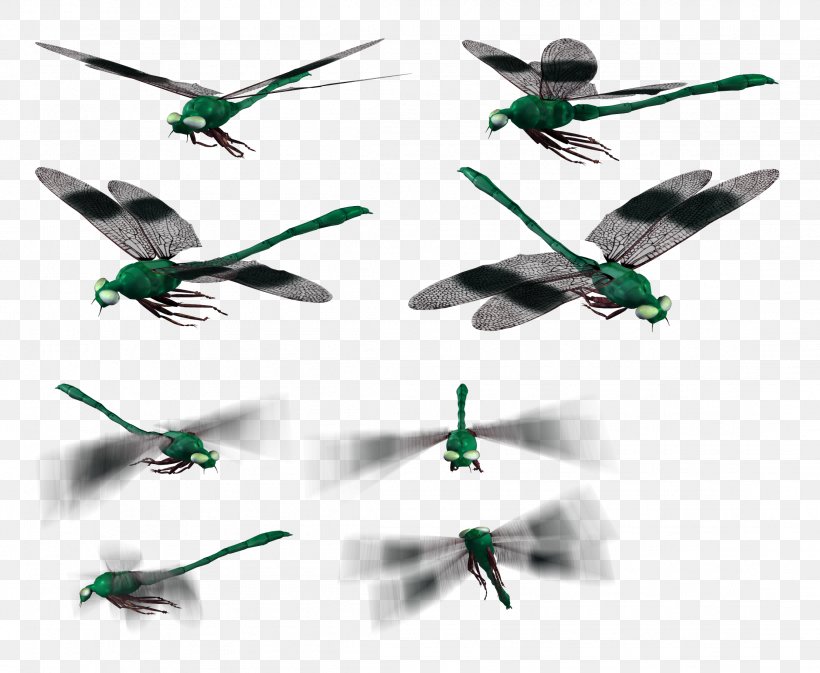 Clip Art, PNG, 2219x1823px, Dragonfly, Aircraft, Airplane, Bird, Feather Download Free