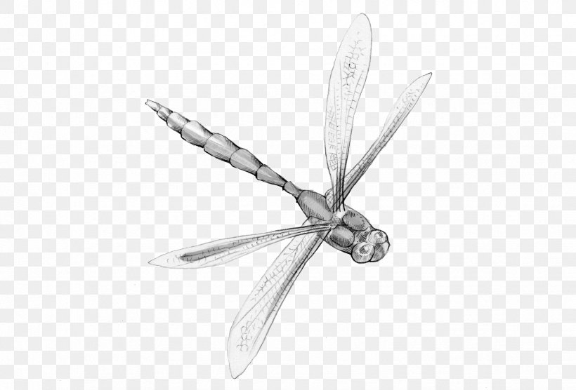 Insect Animal Magic Poems Dragonfly Poetry, PNG, 1739x1181px, Insect, Animal Magic Poems, Black And White, Blog, Dragonfly Download Free
