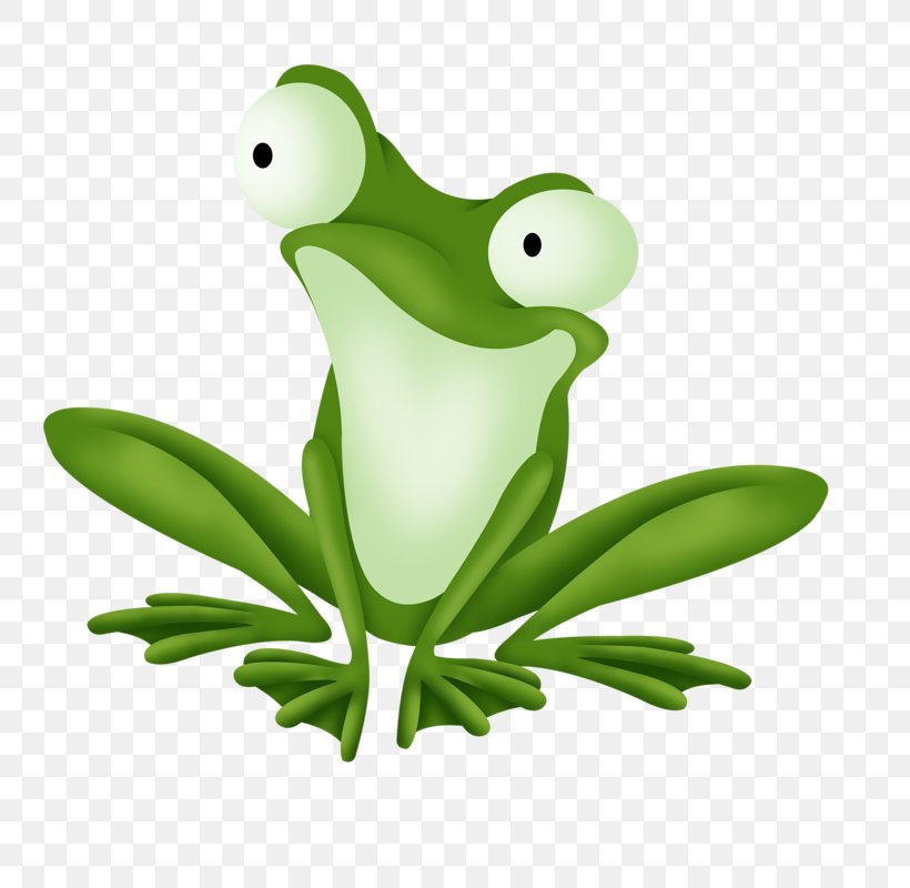 Tree Frog Edible Frog Cartoon, PNG, 800x800px, Tree Frog, Amphibian, Cartoon, Drawing, Edible Frog Download Free