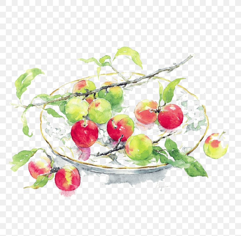 Watercolor Painting Oil Paint, PNG, 804x804px, Watercolor Painting, Acerola, Apple, Art, Artist Download Free
