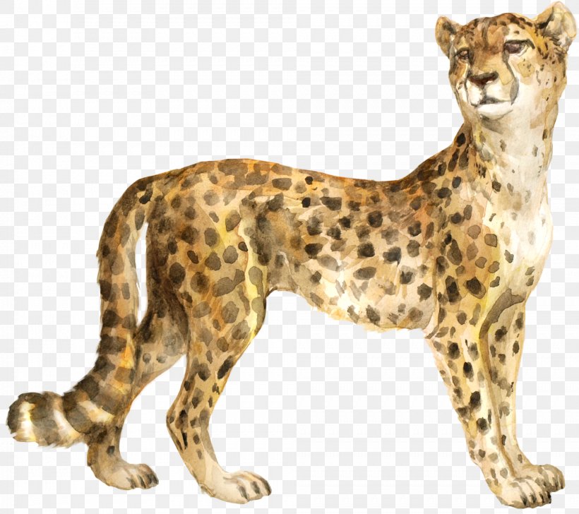 Cheetah The Bedlam Stacks Cat Felidae Cougar, PNG, 2009x1784px, Cheetah, Animal, Animal Figure, Bedlam Stacks, Big Cat Download Free
