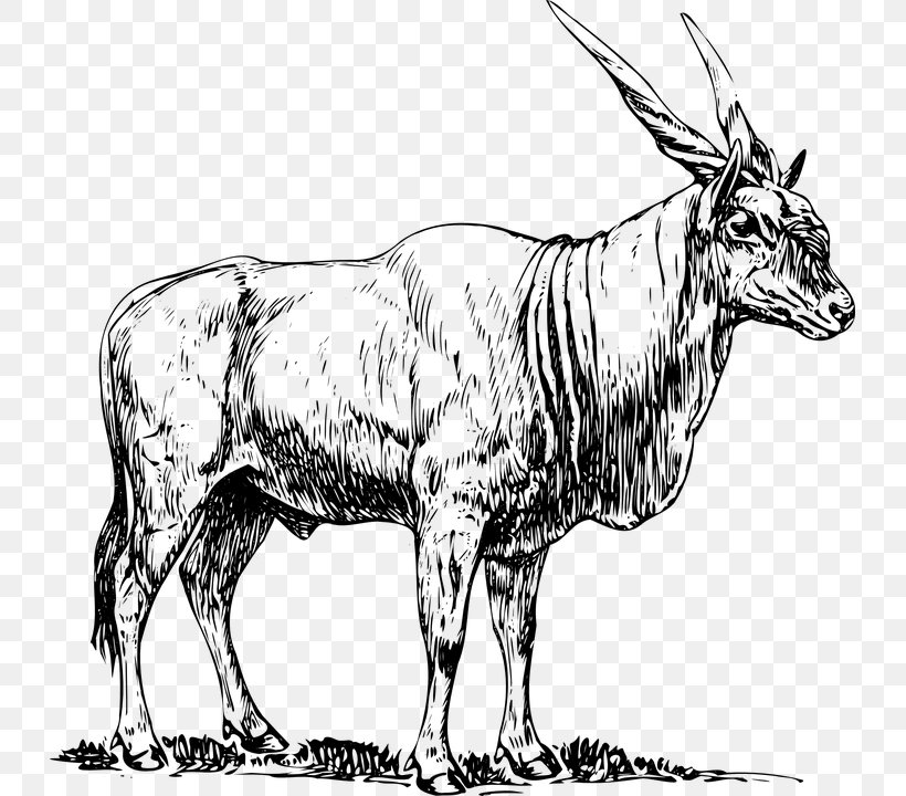 Common Eland Antelope Clip Art, PNG, 729x720px, Common Eland, Animal Figure, Antelope, Black And White, Blog Download Free