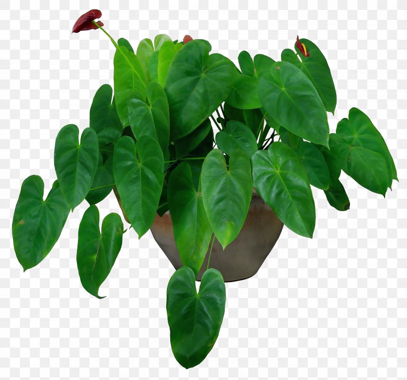 Houseplant Flowerpot Plants Potted Vase, PNG, 3000x2800px, Watercolor, Anthurium, Bonsai, Ceramic, Crock Download Free