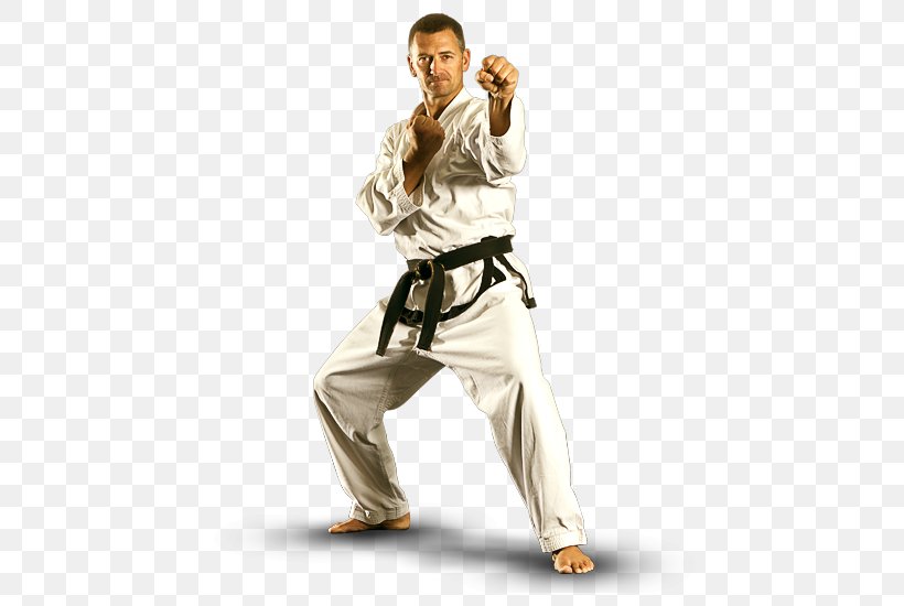 Mixed Martial Arts Karate Taekwondo Brazilian Jiu-jitsu, PNG, 462x550px, Martial Arts, Arm, Art, Brazilian Jiujitsu, Bruce Lee Download Free