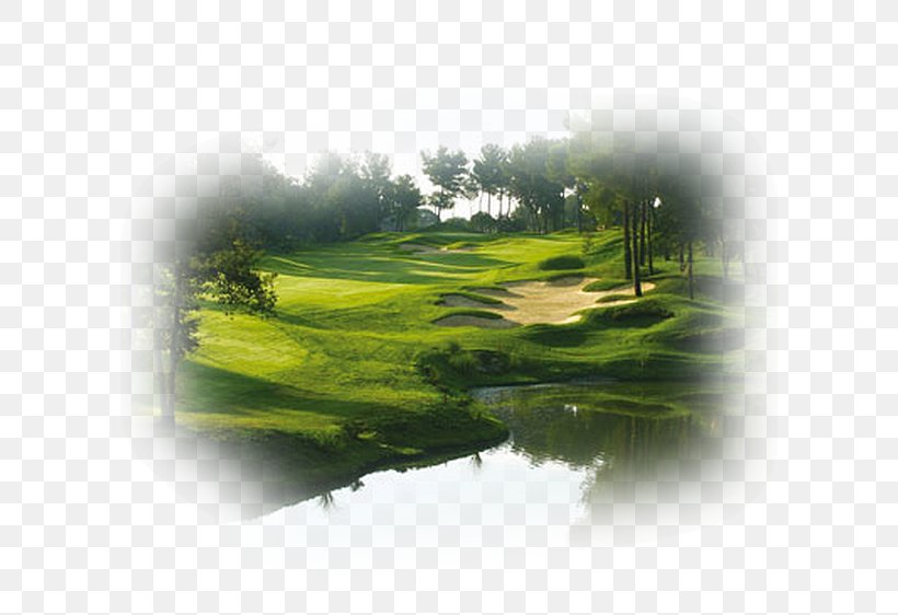 Royal Mougins Golf & Resort Golf Clubs Golf Course Cannes, PNG, 600x562px, Golf Clubs, Cannes, Country Club, Energy, Golf Download Free