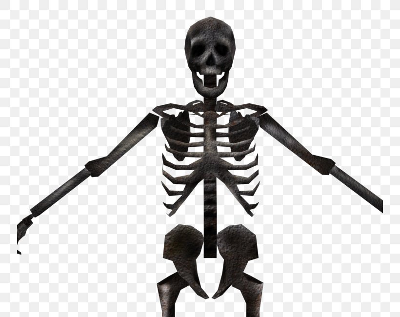 Skeleton Bone Homo Sapiens Figurine, PNG, 750x650px, Skeleton, Bone, Figurine, Homo Sapiens, Human Download Free