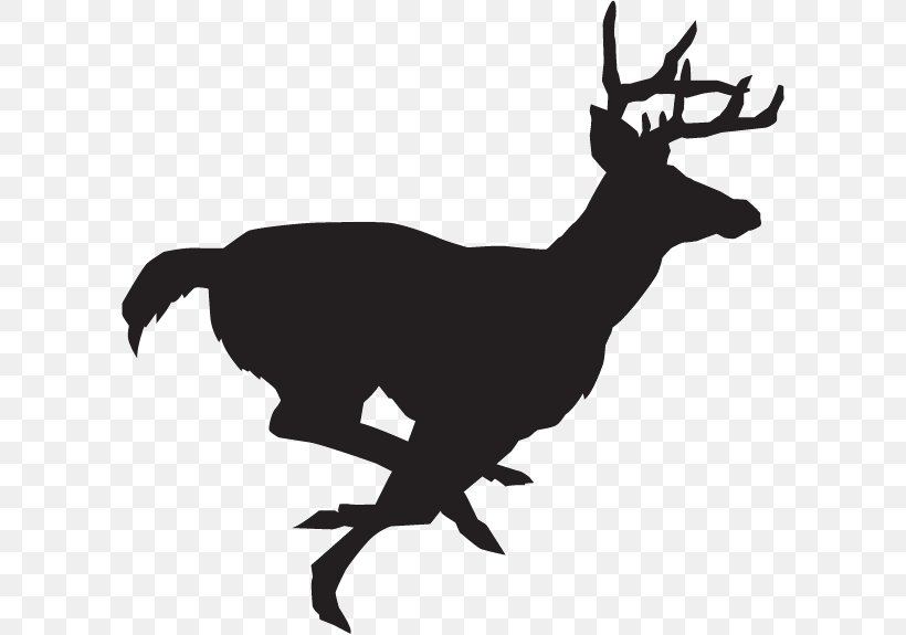 White-tailed Deer Clip Art Decal Deer Hunting, PNG, 600x575px, Deer, Antelope, Antler, Black And White, Craft Download Free