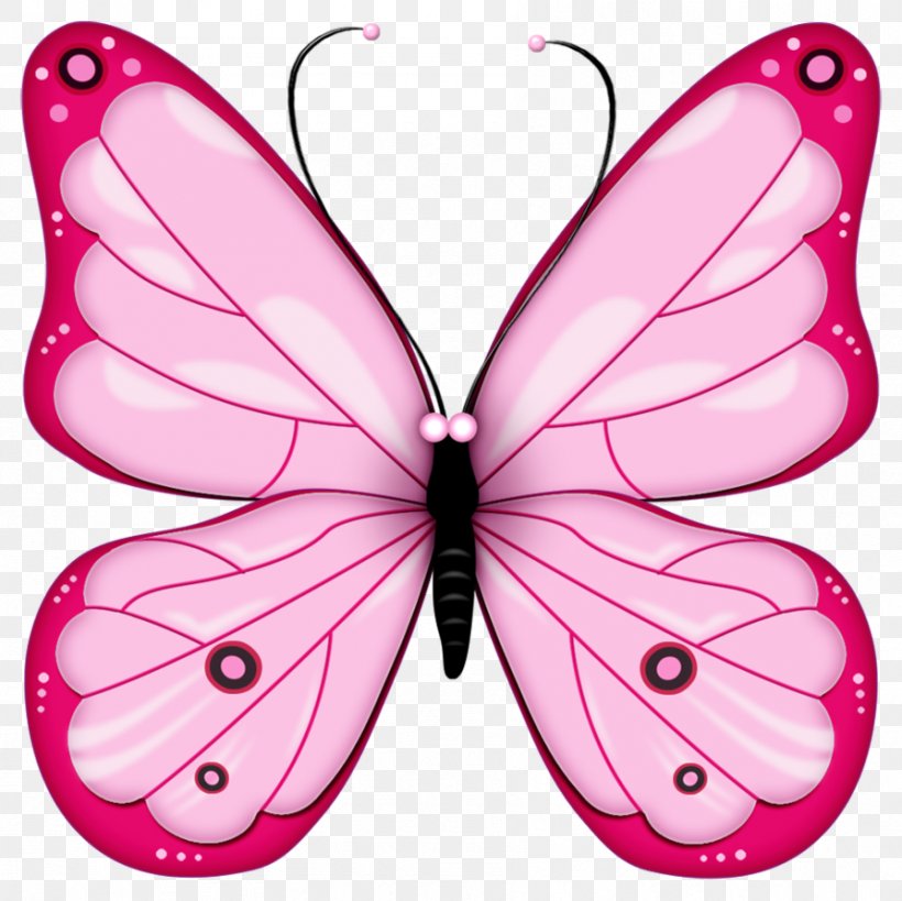 Butterfly Clip Art Openclipart Image Free Content, PNG, 894x893px, Butterfly, Arthropod, Brush Footed Butterfly, Butterflies And Moths, Drawing Download Free
