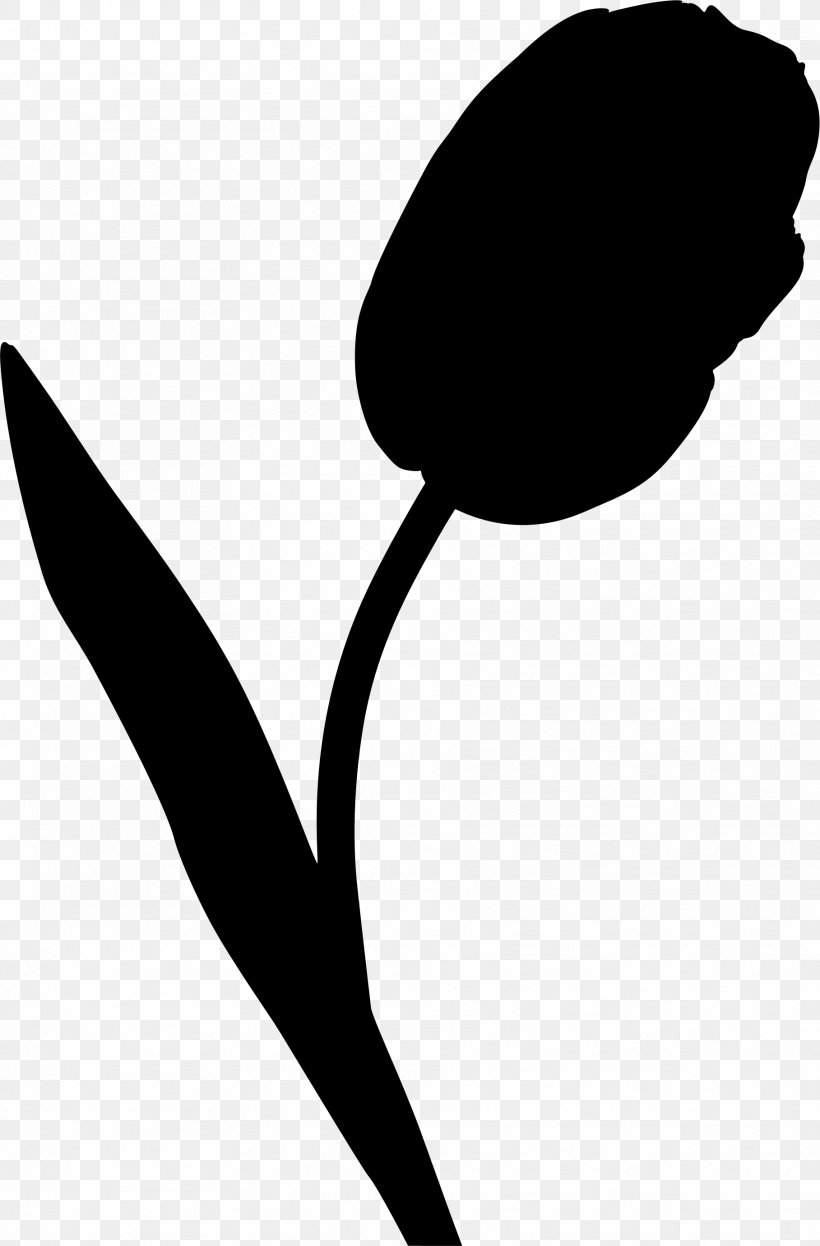 Clip Art Leaf Flower Line Silhouette, PNG, 1817x2761px, Leaf, Anthurium, Black M, Blackandwhite, Botany Download Free