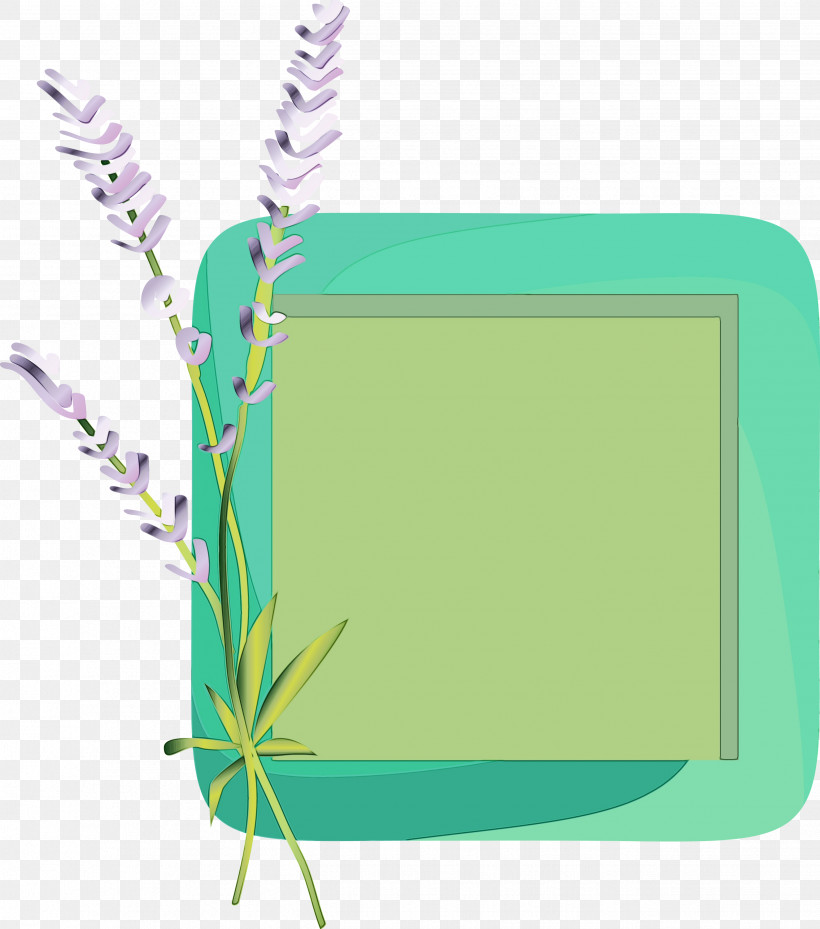 Lavender, PNG, 2648x3000px, Flower Photo Frame, Biology, Flower Frame, Grasses, Green Download Free